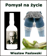 Pomys na ycie